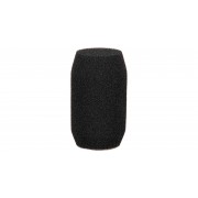 EV WS-PC1 Windscreen Polarchoice Large