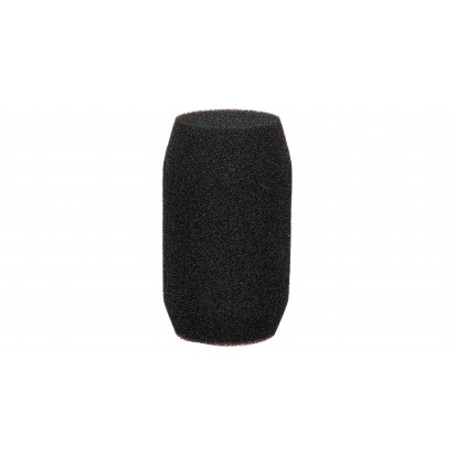 EV WS-PC1 Windscreen Polarchoice Large