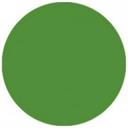 Showtec Color Sheet 139 Primary Green High temperature 61x53cm