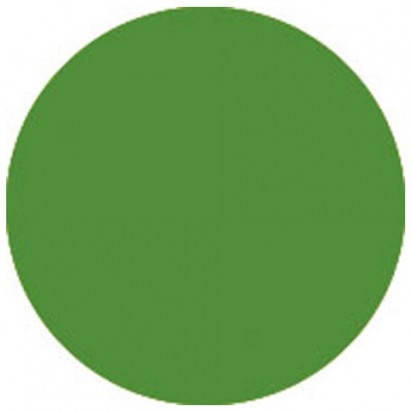 Showtec Color Sheet 139 Primary Green High temperature 61x53cm