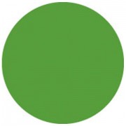 Showtec Color Sheet 139 Primary Green 1,22mtr x 0,53mtr